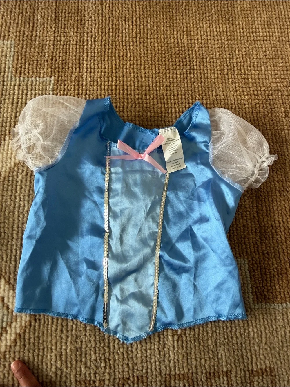 Cinderella Two Piece Costume